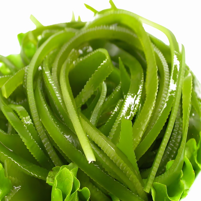如何找到可靠的东莞蔬菜配送公司-首宏蔬菜配送公司