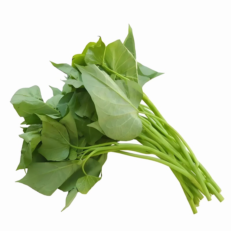 蔬菜价格-首宏蔬菜配送公司