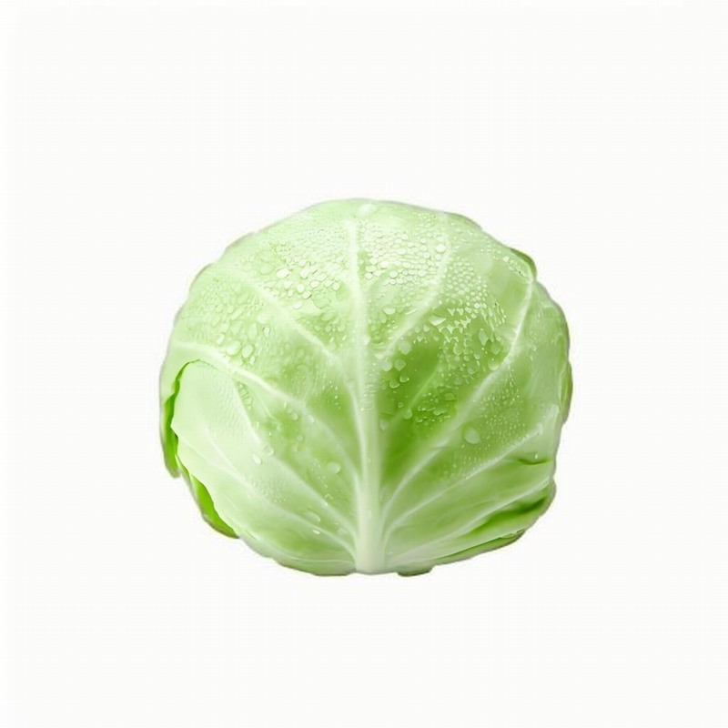 蔬菜水果-首宏蔬菜配送公司