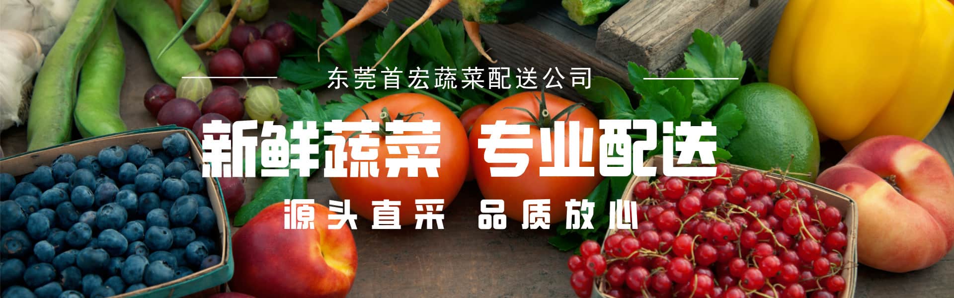 深圳蔬菜配送,蔬菜生鲜配送,蔬菜专业配送公司